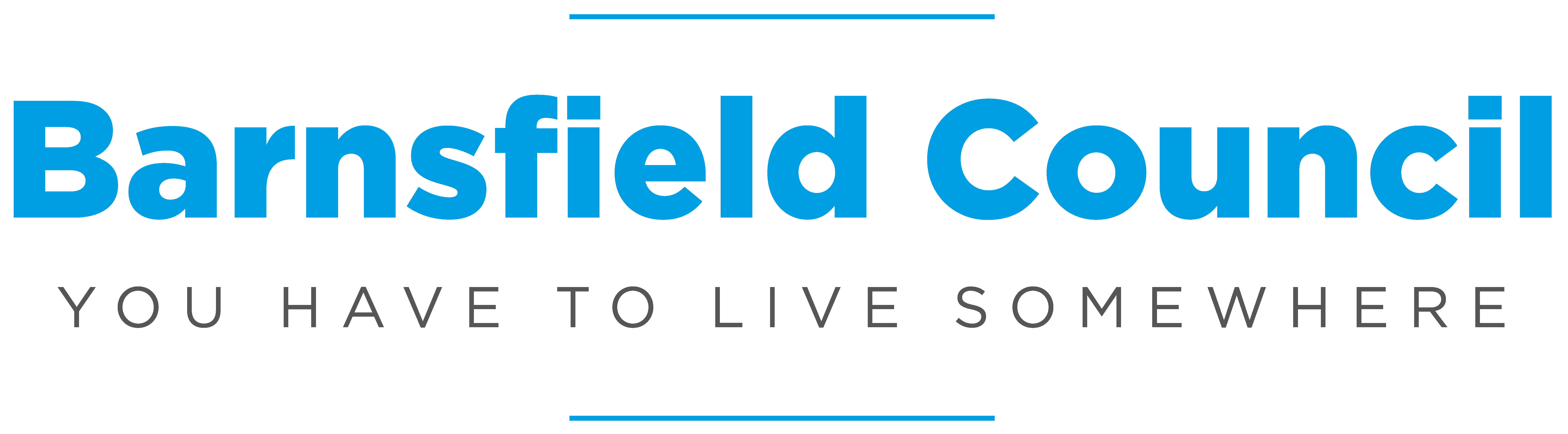 Council Logo